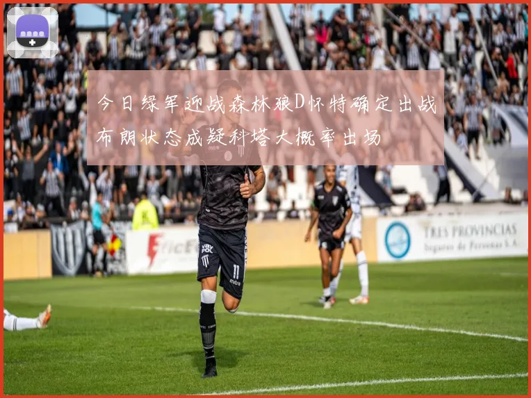 今日绿军迎战森林狼D怀特确定出战布朗状态成疑科塔大概率出场