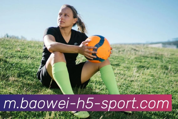 宝威体育平台生态图